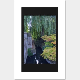 Pond with Maple Tree, Christ Church College, Oxford, UK Posters and Art